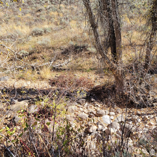 101 Beaver Crk Unit 101, Huntsville, UT 84317