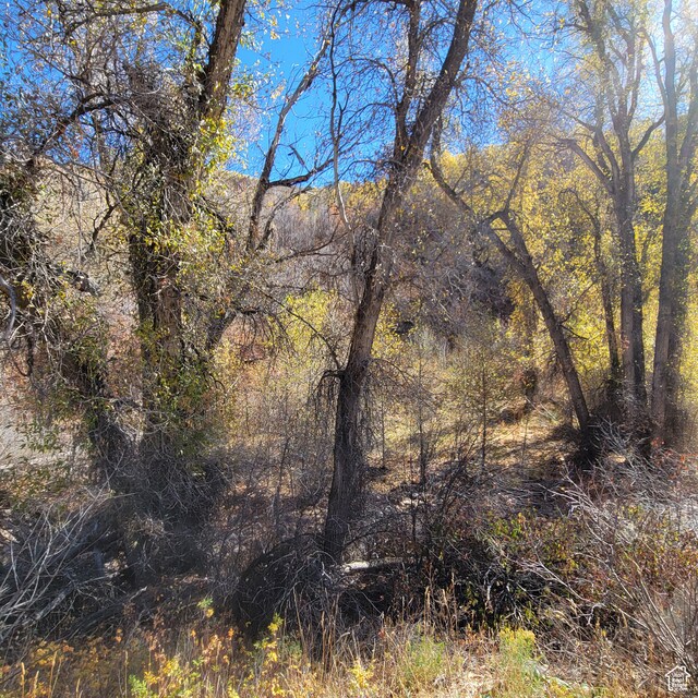 101 Beaver Crk Unit 101, Huntsville, UT 84317