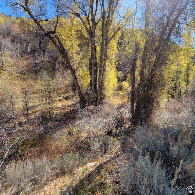 101 Beaver Crk Unit 101, Huntsville, UT 84317