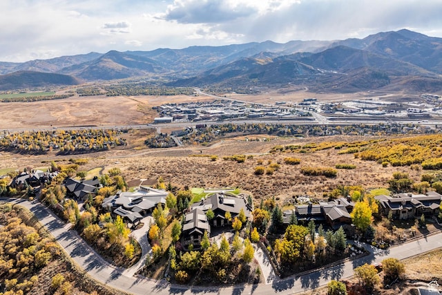1159 Snow Berry St, Park City, UT 84098 - property view of mountains