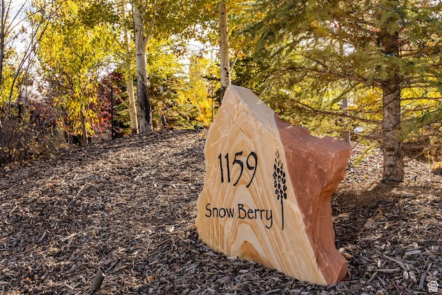 1159 Snow Berry St, Park City, UT 84098 - photo 86