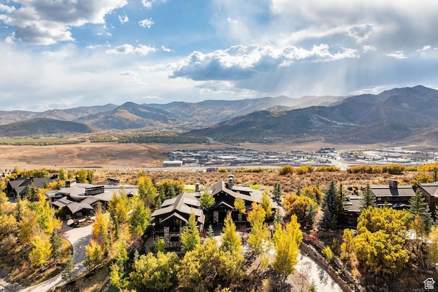1159 Snow Berry St, Park City, UT 84098 - mountain view