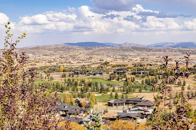 1159 Snow Berry St, Park City, UT 84098 - photo 57