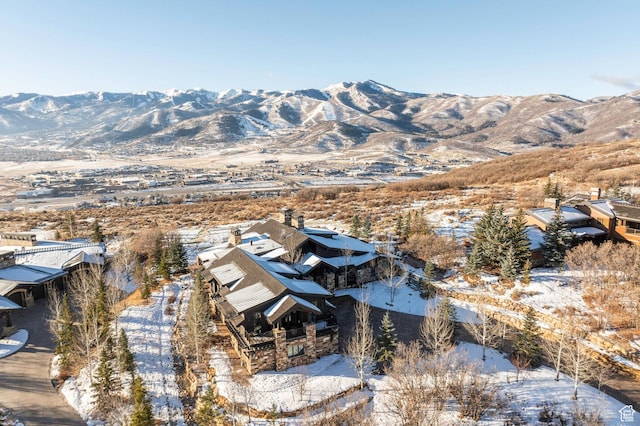 1159 Snow Berry St, Park City, UT 84098 - photo 74