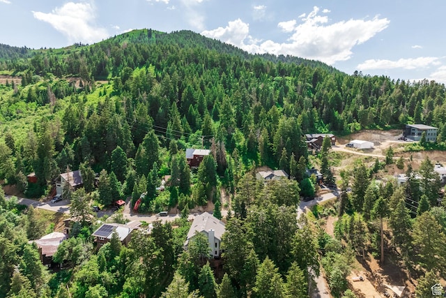 105 Paradise Rd, Summit Park, UT 84098 - photo 91