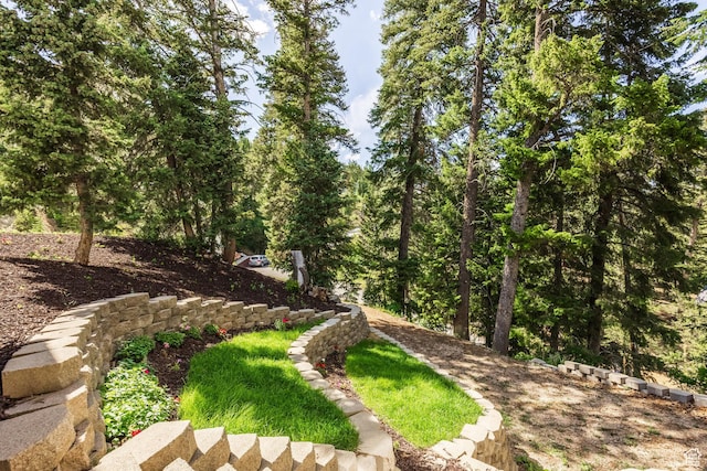 105 Paradise Rd, Summit Park, UT 84098 - photo 97