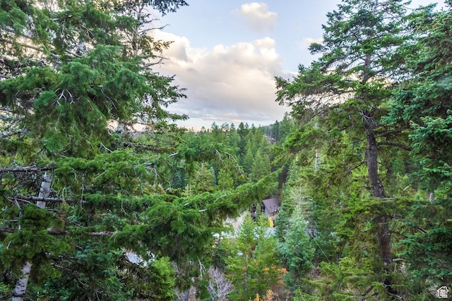 105 Paradise Rd, Summit Park, UT 84098 - view of wooded area