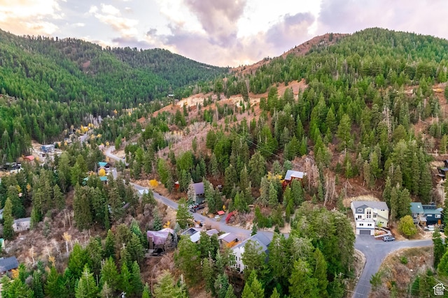 105 Paradise Rd, Summit Park, UT 84098 - photo 99