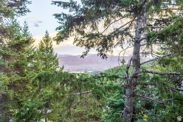 105 Paradise Rd, Summit Park, UT 84098 - mountain view