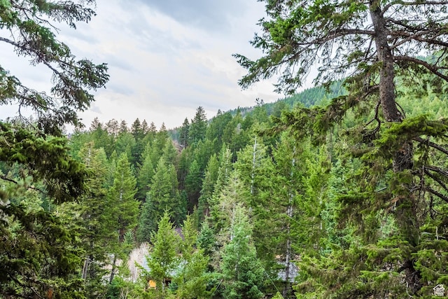 105 Paradise Rd, Summit Park, UT 84098 - view of woods