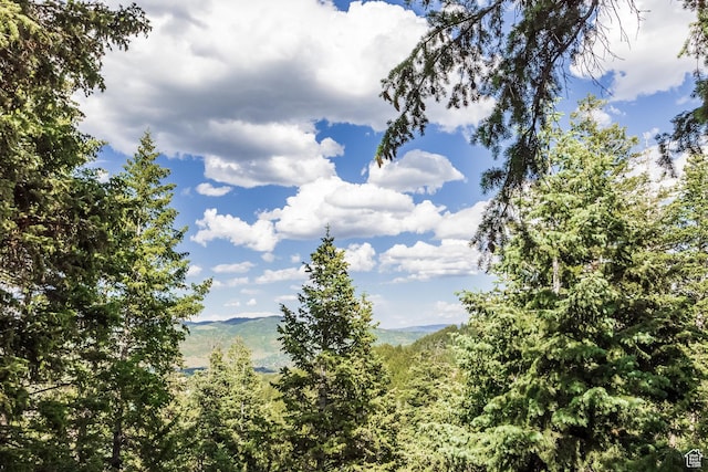 105 Paradise Rd, Summit Park, UT 84098 - photo 93