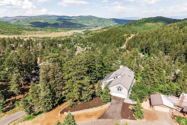 105 Paradise Rd, Summit Park, UT 84098 - photo 96