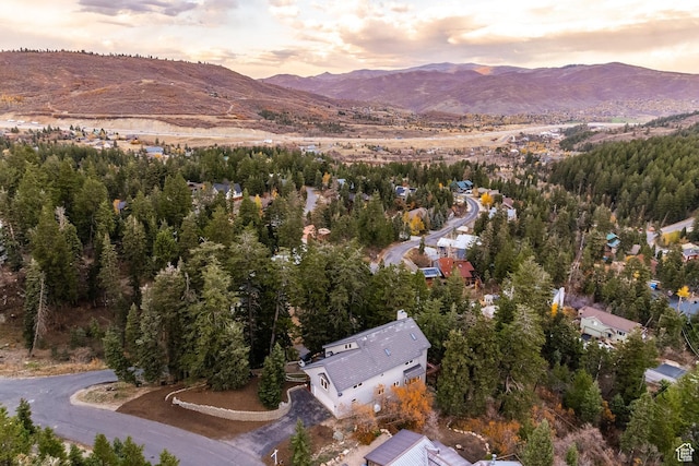 105 Paradise Rd, Summit Park, UT 84098 - photo 89