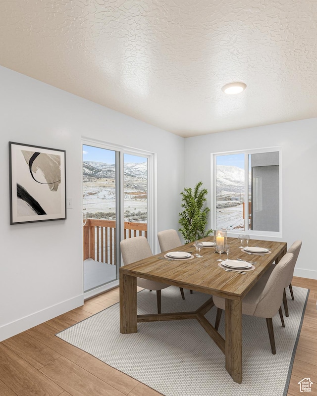 2003 S Freestone Blvd Unit 424, Santaquin, UT 84655 - dining area featuring light wood-style floors and a textured ceiling