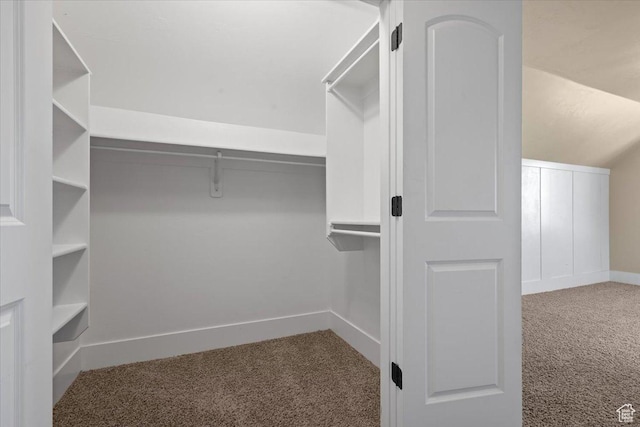 51 E Magellan Ln, Elk Ridge, UT 84651 - spacious closet featuring carpet