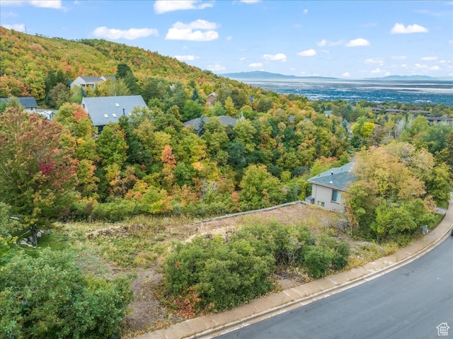2234 S Wood Hollow Way Unit 52, Bountiful, UT 84010