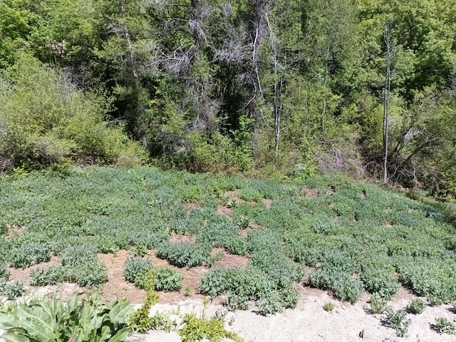 3732 E 1950 N Unit 57, Eden, UT 84310