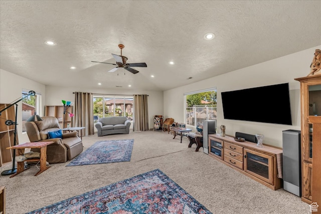 living room with carpet, a textured ceiling, and a wealth of natural light