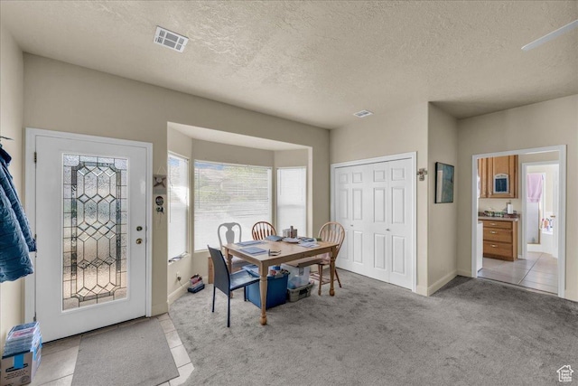 540 E Pintura Dr, Bloomington, UT 84790 - foyer entrance with carpet floors, a textured ceiling, and baseboards