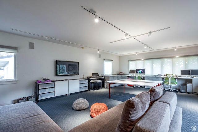 671 N Freeze Creek Cir, Emigration Canyon, UT 84108 - playroom with rail lighting and carpet flooring