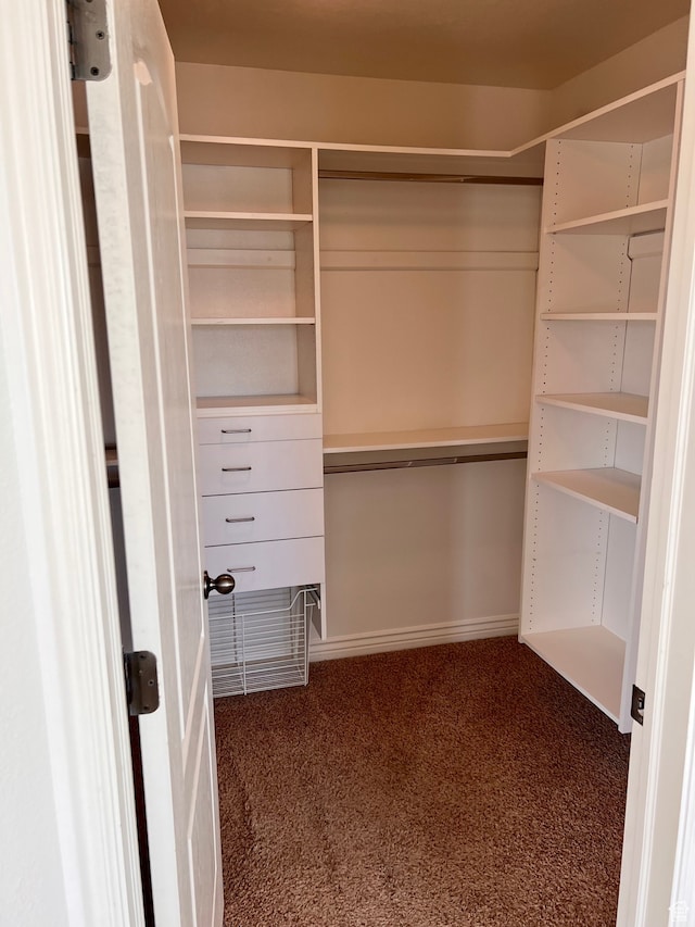 3119 N Sage Loop Unit F3, Lehi, UT 84043 - walk in closet with carpet flooring