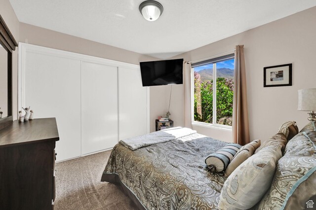 3937 N Patio Springs Dr, Eden, UT 84310 - carpeted bedroom featuring a closet