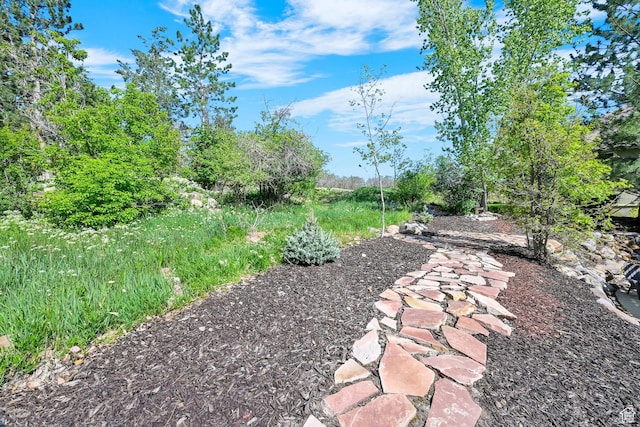 3937 N Patio Springs Dr, Eden, UT 84310 - view of yard