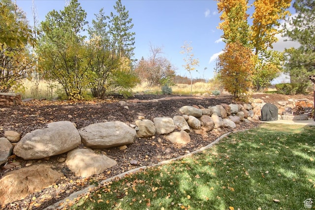 3937 N Patio Springs Dr, Eden, UT 84310 - view of yard