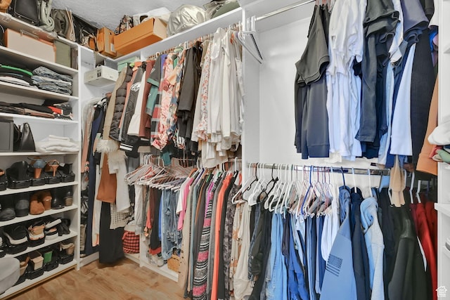 3937 N Patio Springs Dr, Eden, UT 84310 - spacious closet with wood finished floors