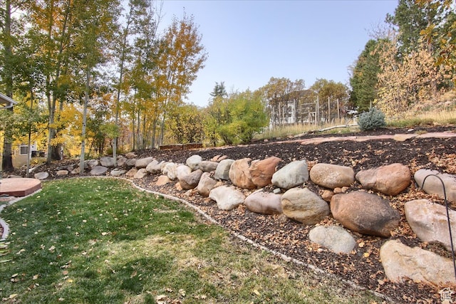 3937 N Patio Springs Dr, Eden, UT 84310 - view of yard