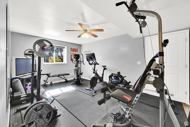 3937 N Patio Springs Dr, Eden, UT 84310 - exercise area featuring ceiling fan and baseboards