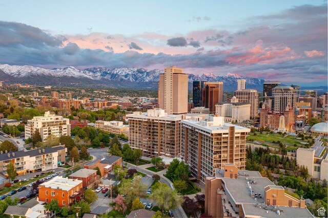 241 N Vine St W Unit 805W, Salt Lake City, UT 84103 - photo 29