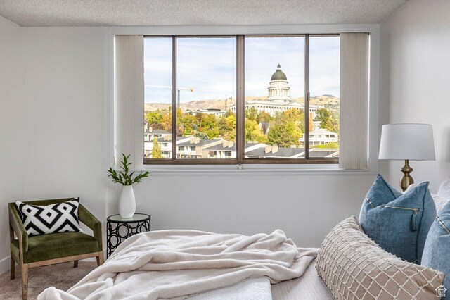 241 N Vine St W Unit 805W, Salt Lake City, UT 84103 - photo 17