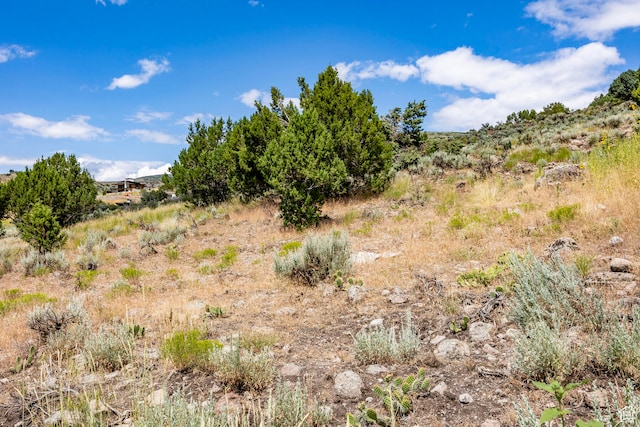 2121 E Flat Top Mountain Dr Unit 727, Heber City, UT 84032 - view of local wilderness