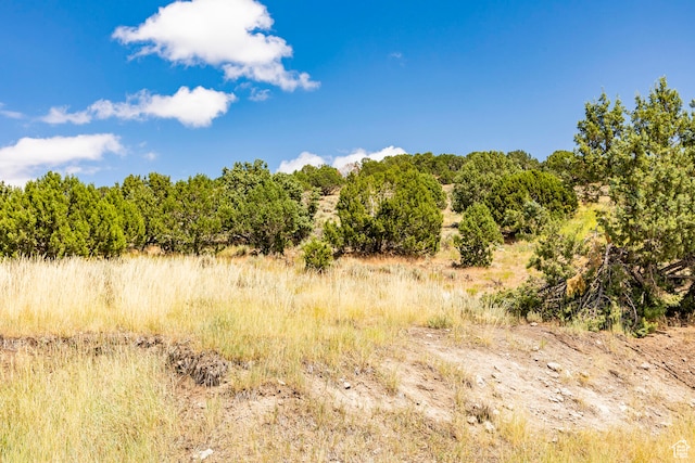 2121 E Flat Top Mountain Dr Unit 727, Heber City, UT 84032 - view of nature