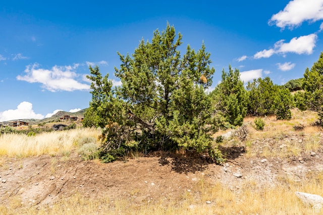 2121 E Flat Top Mountain Dr Unit 727, Heber City, UT 84032 - view of nature featuring a mountain view