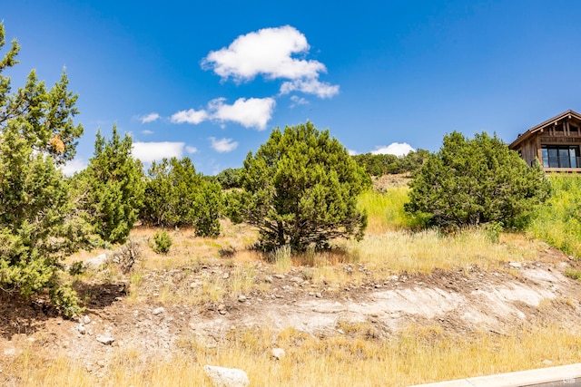 2121 E Flat Top Mountain Dr Unit 727, Heber City, UT 84032 - view of nature