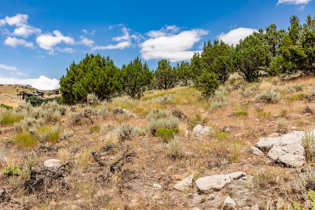 2121 E Flat Top Mountain Dr Unit 727, Heber City, UT 84032 - view of local wilderness