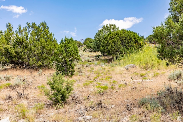 2121 E Flat Top Mountain Dr Unit 727, Heber City, UT 84032 - view of nature