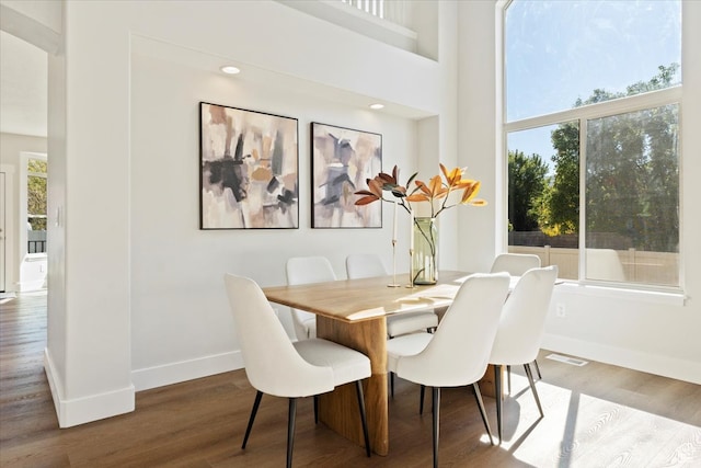 dining room with a towering ceiling and hardwood / wood-style floors