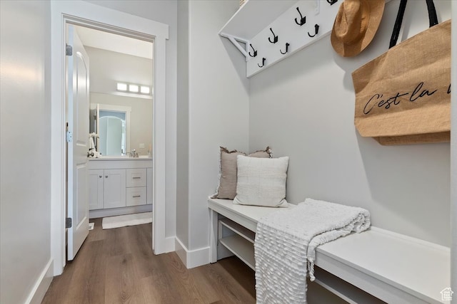 mudroom featuring dark wood-type flooring
