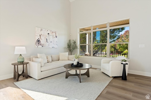 living room featuring hardwood / wood-style floors and a towering ceiling