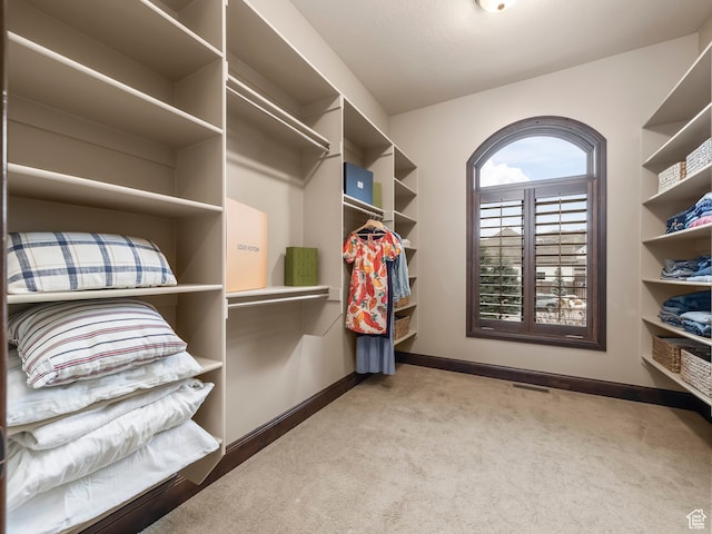 spacious closet featuring carpet floors