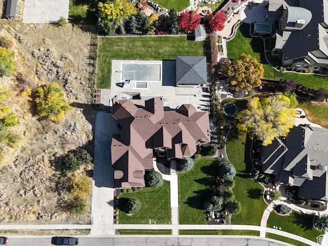 bird's eye view