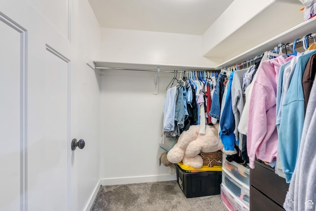 4489 W Milford Dr, South Jordan, UT 84009 - walk in closet with carpet floors