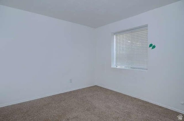 spare room featuring carpet flooring
