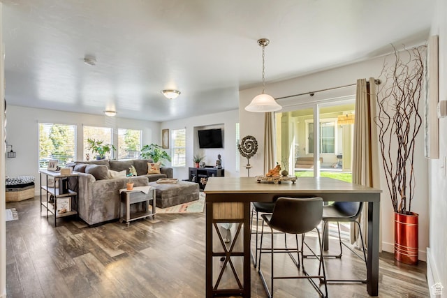 dining room featuring dark wood finished floors