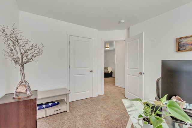 interior space featuring light carpet