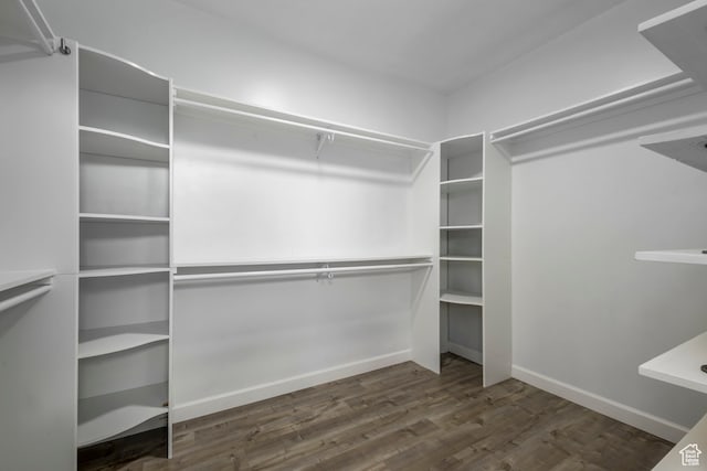 walk in closet featuring wood finished floors
