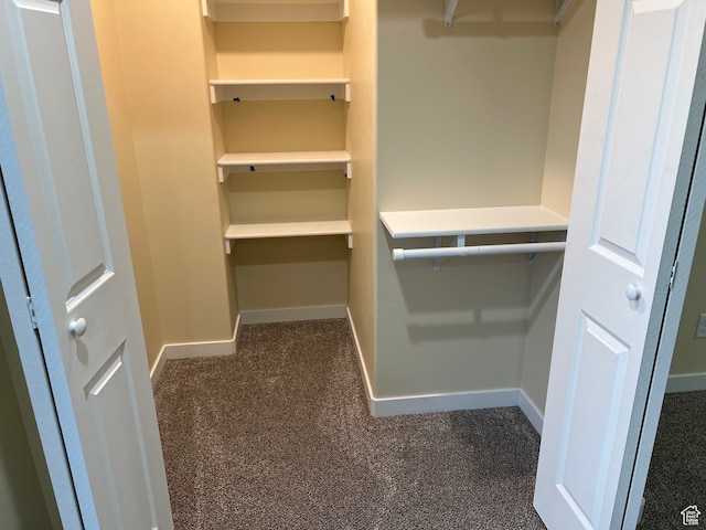 415 N 1st St W, Downey, ID 83234 - spacious closet with dark carpet